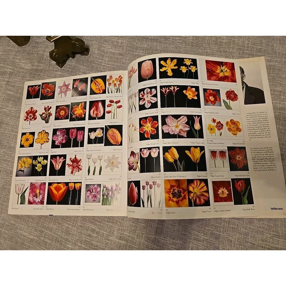Tulips By Peter Arnold Forward By Sir Elton John Coffe Table Book Hardcover 2006